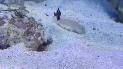 I heard you are trying to dig a hole