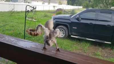 sAtAN Has PoSseSSeD A NEwBorn AnD terRorizes tHe NeighBorHooD