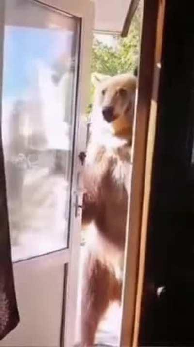 Hello, is anybody home?