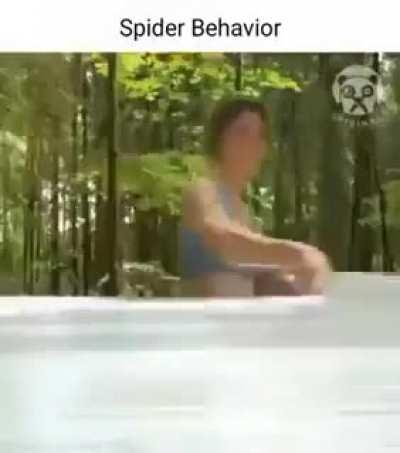 If muffet was a human