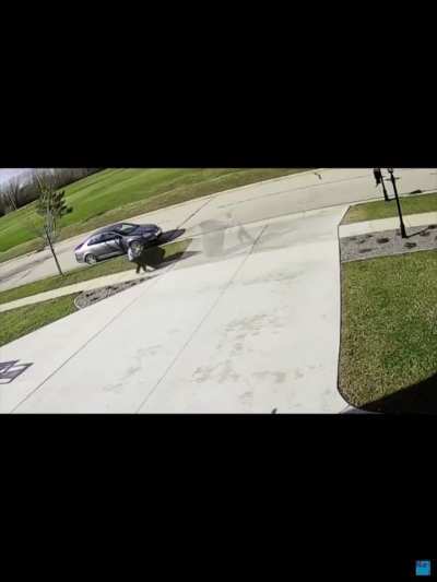 Taking out the trashyphus