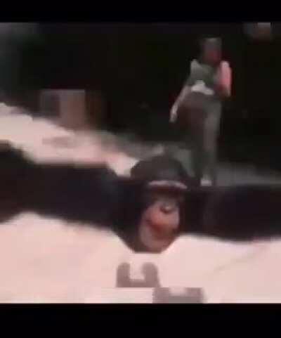 Not mine, will delete if it's repost