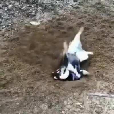 digging is HARD and Frustrating!