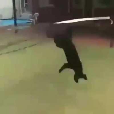 dua.eden.kopek.ilk.defa.gorenler.beyensin