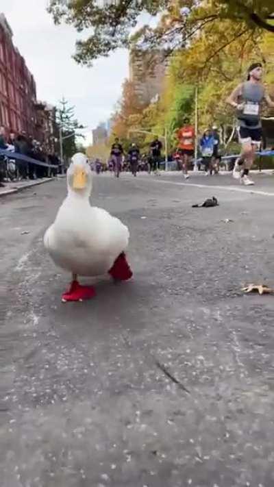 Was wohl ihre Bestzeit war?