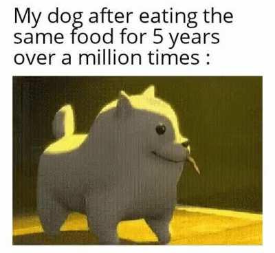 *Happy doggo noises*