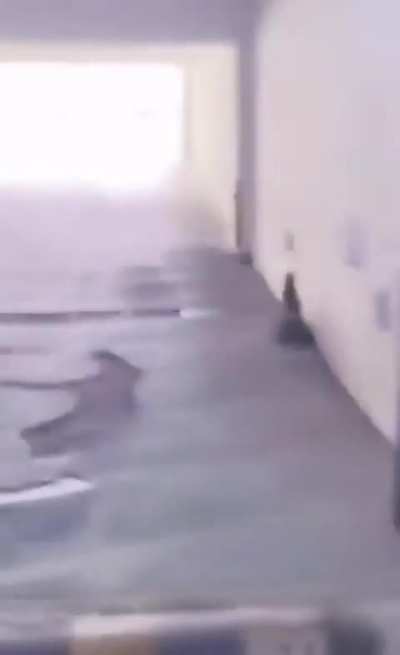 She asked her to do it