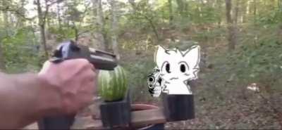 Protect him at all costs!