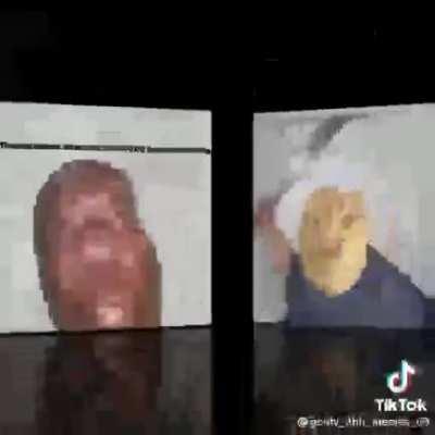 Just qaundale dingle