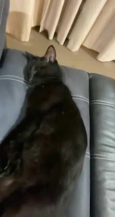 Don’t scare asshole when he sleeps