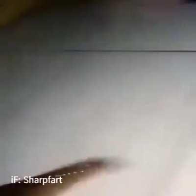 viemos do peixe?🤔🤔🤔