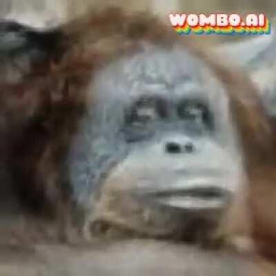 Fortnite monke 🤪🤪🤑🤑🤑