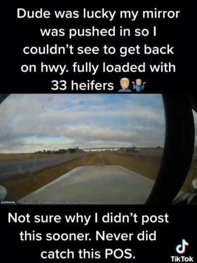 Who's the idiot(s) here?