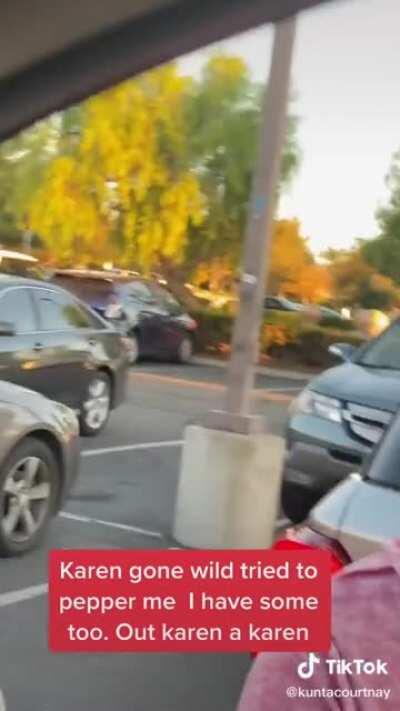 What do you get when two karens encounter each other in the wild ? This