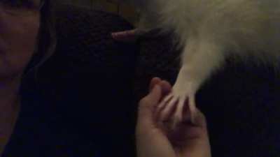 I love how she holds my hand or just wants to be touching me.