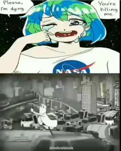 Me every time i see a PETA activist on campus