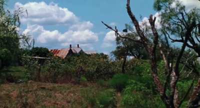 The Texas Chainsaw Massacre 1974 Atmosphere