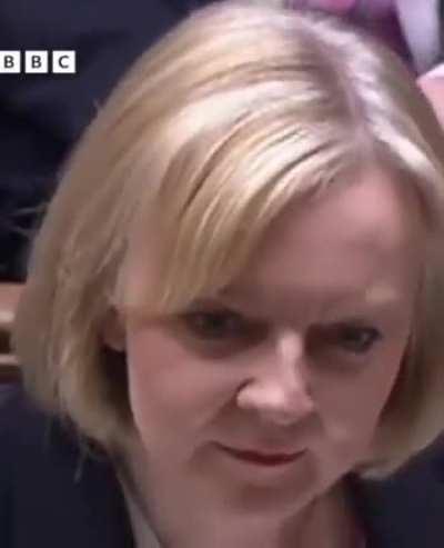 Bears fans about to watch the Bears play vs Bears fans at halftime