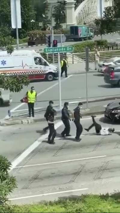 Guy vs 5 police officers at Esplanade Drive (not my video)