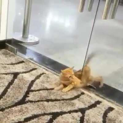 If the head fits so will the rest