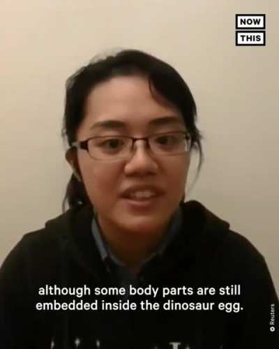 72 million year old dinosaur egg found in China with intact embryo inside 