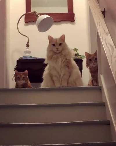 Well this can't be good...