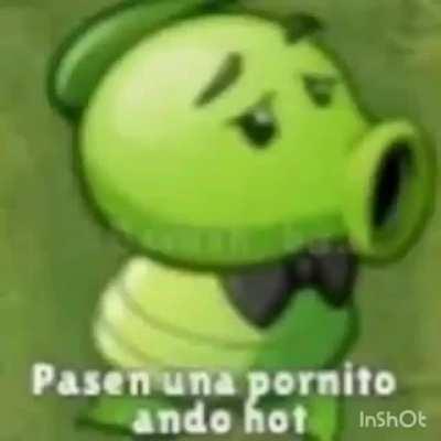 la elegancia ante todo