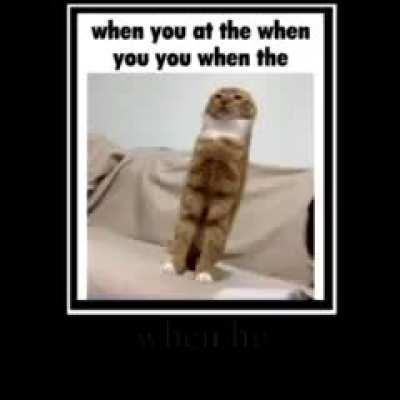 me when the when you at the when you doin