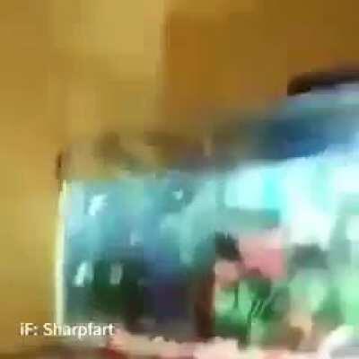 Spore 2 Official Trailer