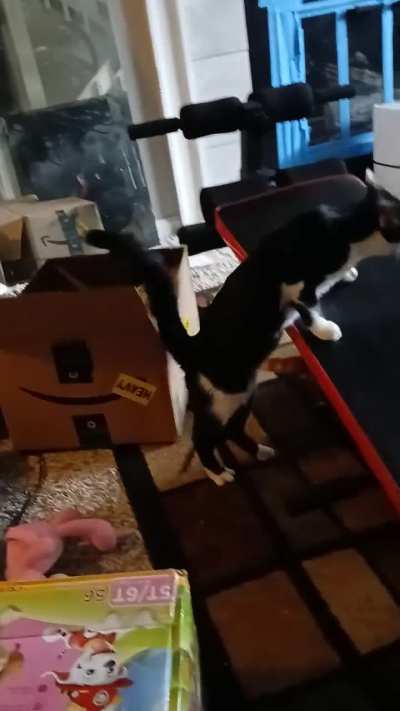 Out of the box taps,lol.