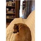 Possibly the derpiest video I’ve ever seen