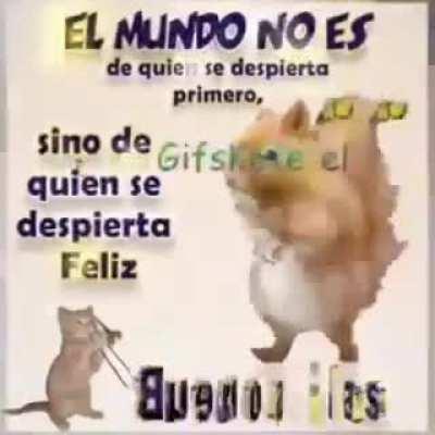Feliz dia 🤝