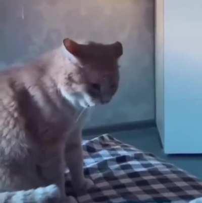 A cara dele depois LULW