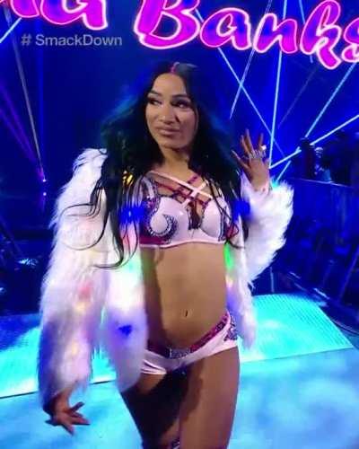 Entrance from Smackdown