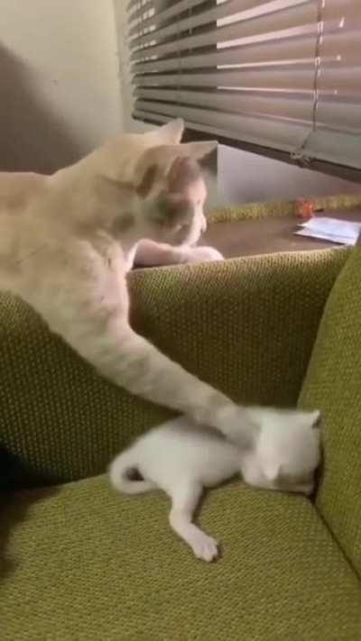 Multi-tasking mom 🥰