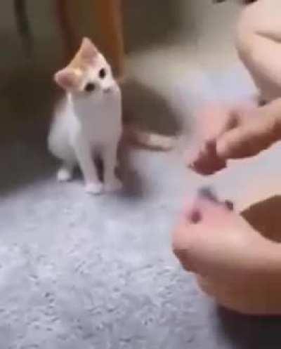 It's the hand that has been blessed by Satan