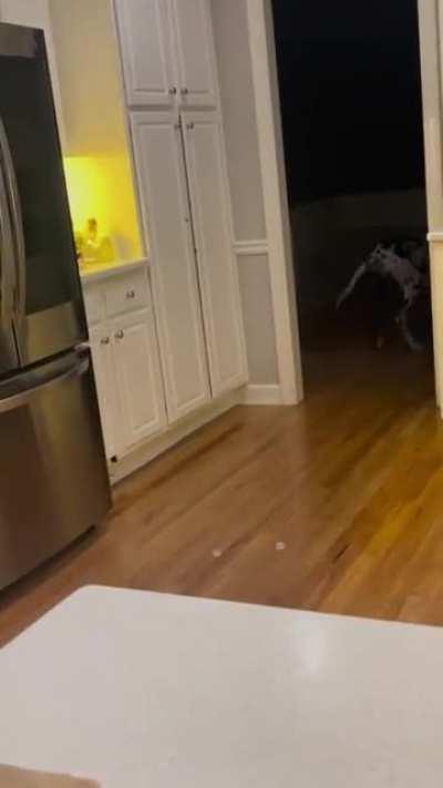 What does this button do?