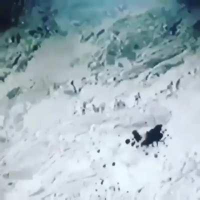 Group of Houthi militants under fire from a Saudi Bradley