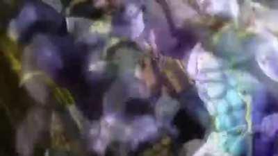 My stand [vine boom]