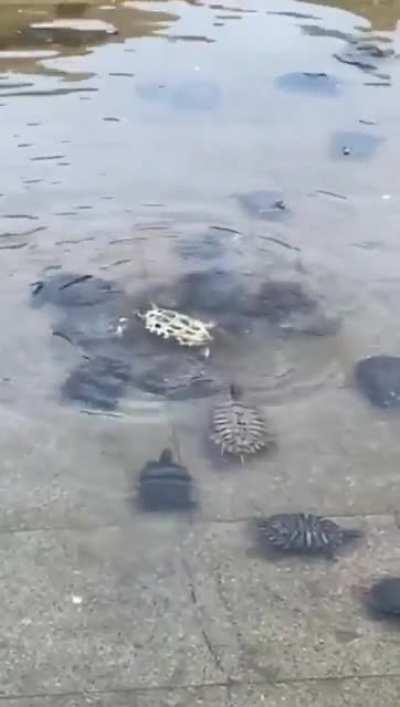 We got your back bro . .