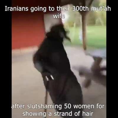 I HAVE RETURNED BOIS!!!!!!! PART THREE LET'S GOOOOO!!!! MARG BAR ISRAEEEEELLL!!!!!