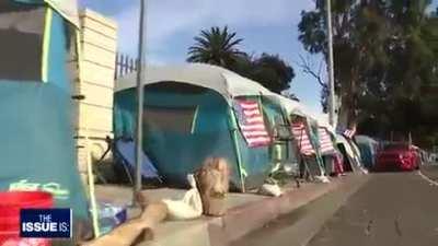 Arnold Schwarzenegger donated $250,000 to built 25 tiny homes intended for homeless vets in West LA, which were turned over a few days before Christmas.