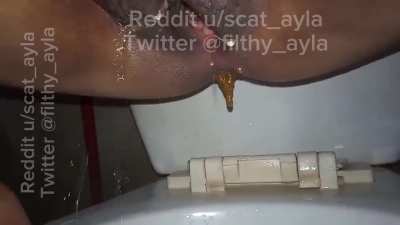 I need a human toilet [F]