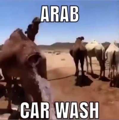 I need a ride like this