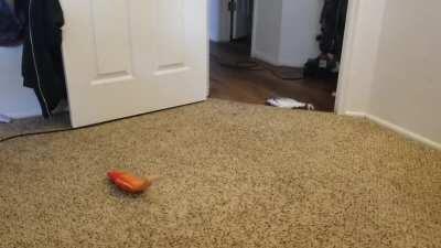 Mom sent them a gift <3