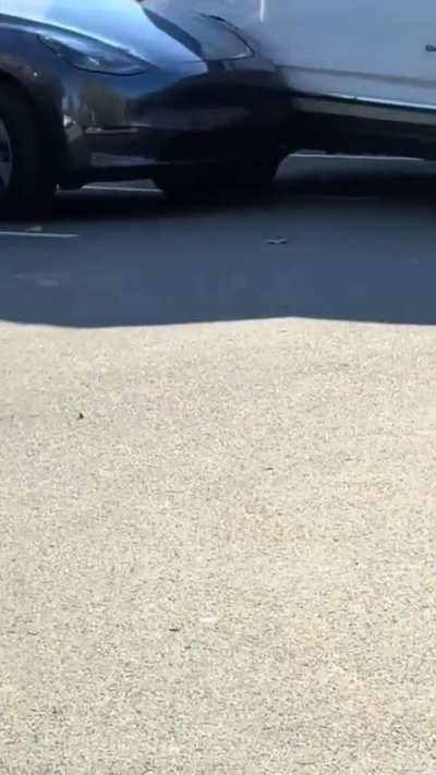 Yeah, that's gonna leave a scratch