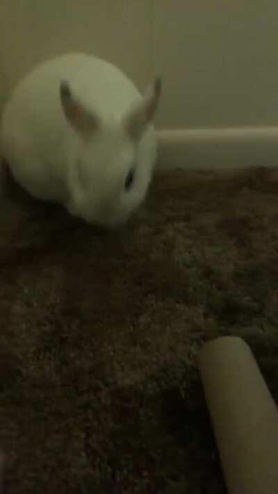 It’s the little things that she loves