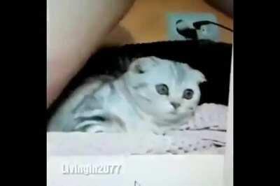 I think this belongs here