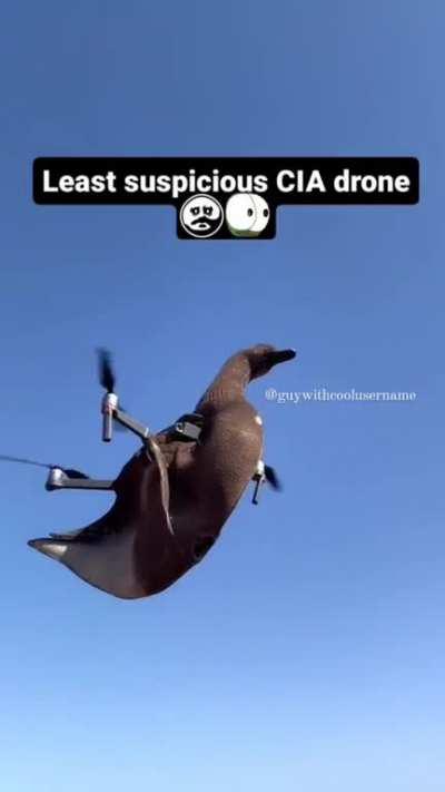 Did the government really think they could fool us? 🤦‍♂️