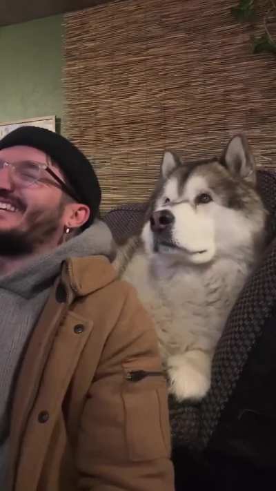 SaDiStiC oWnEr FoRcEs HuSkY tO liStEn To ChRiStMaS mUsiC bEfOrE ThAnKsGiViNg!!!